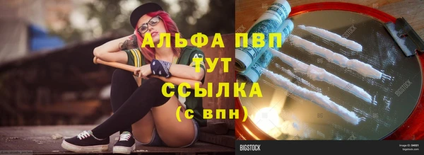 дмт Абаза