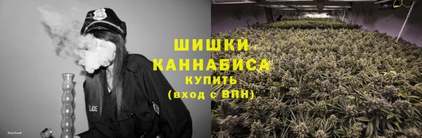 крисы Абдулино