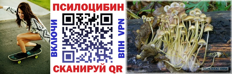 Галлюциногенные грибы Magic Shrooms  что такое наркотик  Кингисепп 